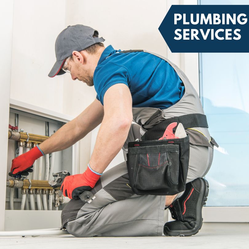 Corwith Plumbing Company